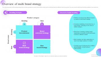 Overview Of Multi Brand Strategy Multi Brand Strategies For Different Market