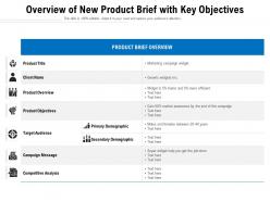 Overview Of New Product Brief With Key Objectives