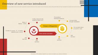 Overview Of New Service Introduced Executing New Service Sales And Marketing Process
