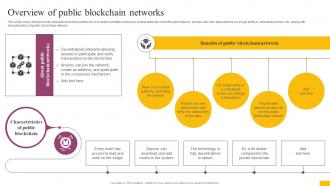 Overview Of Public Blockchain Networks Complete Guide To Understand BCT SS