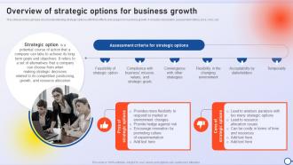Overview Of Strategic Options For Business Growth Minimizing Risk And Enhancing Performance Strategy SS V