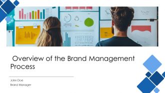 Overview Of The Brand Management Process PPT Demonstration AT