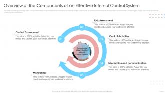 Overview Of The Components Of An Effective Internal Control System Internal Control System Integrated