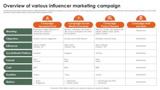 Overview Of Various Influencer Marketing Campaign Startup Growth Strategy For Rapid Strategy SS V