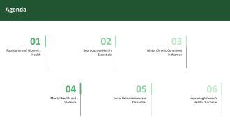 Overview Of Womens Health Issues Assignment PPT Graphics VA Image Analytical