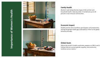 Overview Of Womens Health Issues Assignment PPT Graphics VA Images Analytical