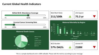 Overview Of Womens Health Issues Assignment PPT Graphics VA Unique Analytical
