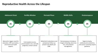 Overview Of Womens Health Issues Assignment PPT Graphics VA Content Ready Analytical