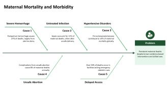 Overview Of Womens Health Issues Assignment PPT Graphics VA Impactful Analytical