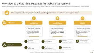 Overview To Define Ideal Customer For Utilizing Online Shopping Website To Increase Sales