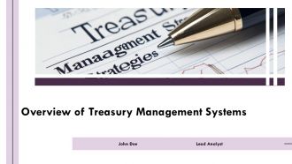 Overview Treasury Management Systems PPT PowerPoint AT