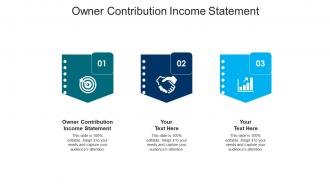 Owner contribution income statement ppt powerpoint presentation styles example topics cpb