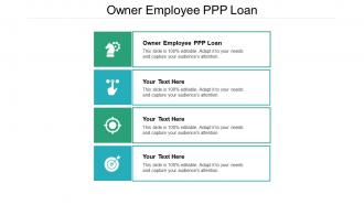 Owner employee ppp loan ppt powerpoint presentation portfolio infographic template cpb