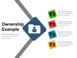 Ownership example ppt infographic template