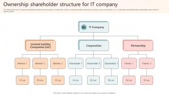 Ownership Shareholder Structure For IT Company