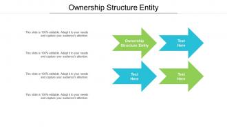 Ownership structure entity ppt powerpoint presentation icon examples cpb