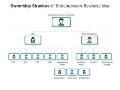 Ownership structure of entrepreneurs business idea