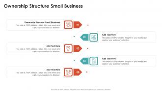Ownership Structure Small Business In Powerpoint And Google Slides Cpb