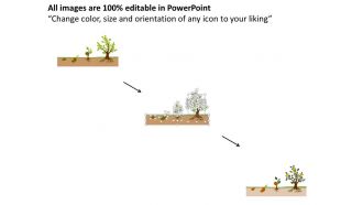 oy Seed To Plant Growth Indication Chart Flat Powerpoint Design