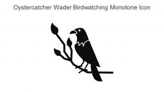 Oystercatcher Wader Birdwatching Monotone Icon In Powerpoint Pptx Png And Editable Eps Format