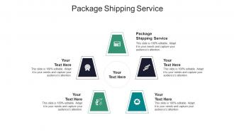 Package shipping service ppt powerpoint presentation infographics model cpb