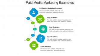 Paid media marketing examples ppt powerpoint presentation infographics information cpb