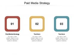 Paid media strategy ppt powerpoint presentation summary design templates cpb