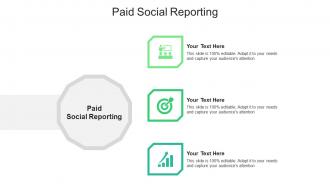 Paid social reporting ppt powerpoint presentation gallery background designs cpb