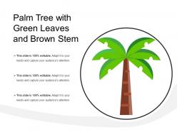 Palm tree with green leaves and brown stem