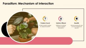 Parasitism Mechanism Of Interaction Mycorrhizal PPT Designs ACP