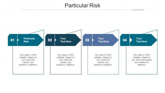 Particular risk ppt powerpoint presentation pictures icon cpb