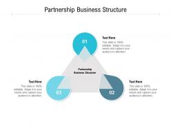Partnership business structure ppt powerpoint presentation professional visual aids cpb