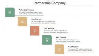 Partnership Company Ppt Powerpoint Presentation Ideas Professional Cpb