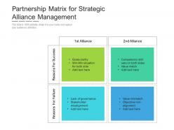 Partnership matrix for strategic alliance management