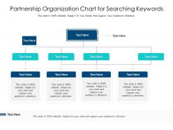 Partnership organization chart for searching keywords infographic template