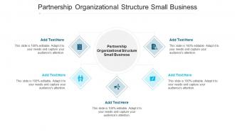 Partnership Organizational Structure Small Business Ppt Powerpoint Presentation Icon Cpb