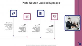Parts Neuron Labeled Synapse In Powerpoint And Google Slides Cpb