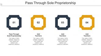 Pass Through Sole Proprietorship Ppt Powerpoint Portfolio Graphics Cpb