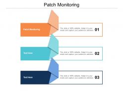 Patch monitoring ppt powerpoint presentation infographics guidelines cpb
