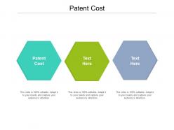 Patent cost ppt powerpoint presentation file outfit cpb
