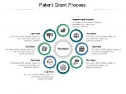 Patent grant process ppt powerpoint presentation icon portfolio cpb