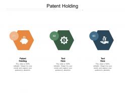 Patent holding ppt powerpoint presentation gallery ideas cpb