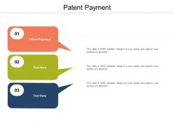 Patent payment ppt powerpoint presentation outline gallery cpb