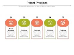 Patent practices ppt powerpoint presentation pictures graphics tutorials cpb