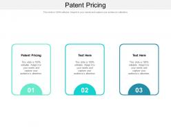 Patent pricing ppt powerpoint presentation icon styles cpb