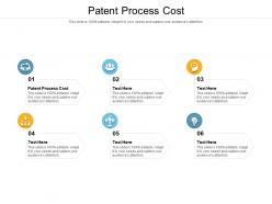Patent process cost ppt powerpoint presentation show tips cpb