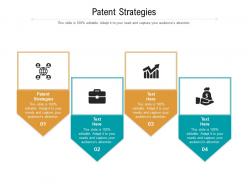 Patent strategies ppt powerpoint presentation visual aids ideas cpb