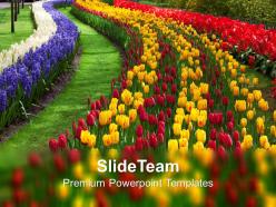 Path to garden nature powerpoint templates ppt themes and graphics 0213
