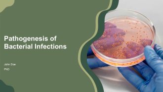 Pathogenesis Of Bacterial Infections PPT Example AT