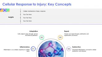 Pathophysiology Of Inflammation And Cellular Injury Explained PPT Information AT Multipurpose Good